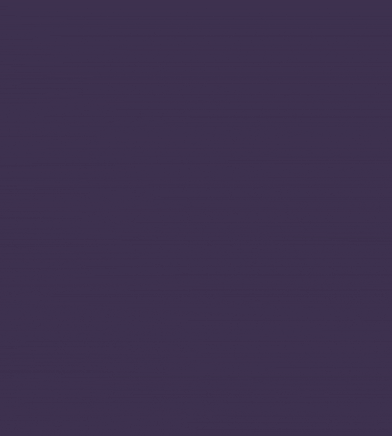 Software development